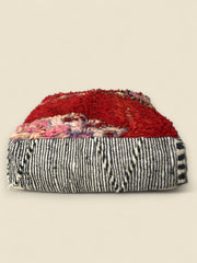 Side view showing Zebra design 