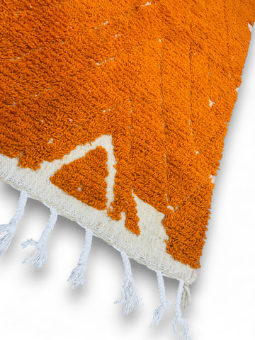 fringes of the rug 